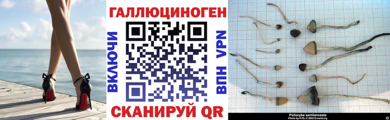 магазин    ОМГ ОМГ ссылка  Псилоцибиновые грибы мицелий  Сертолово 